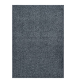 Tapis à poils courts 240x340 cm Anthracite