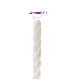 Corde de travail Blanc 10 mm 250 m polypropylène