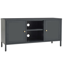 Meuble TV Anthracite 105x35x52 cm Acier et verre