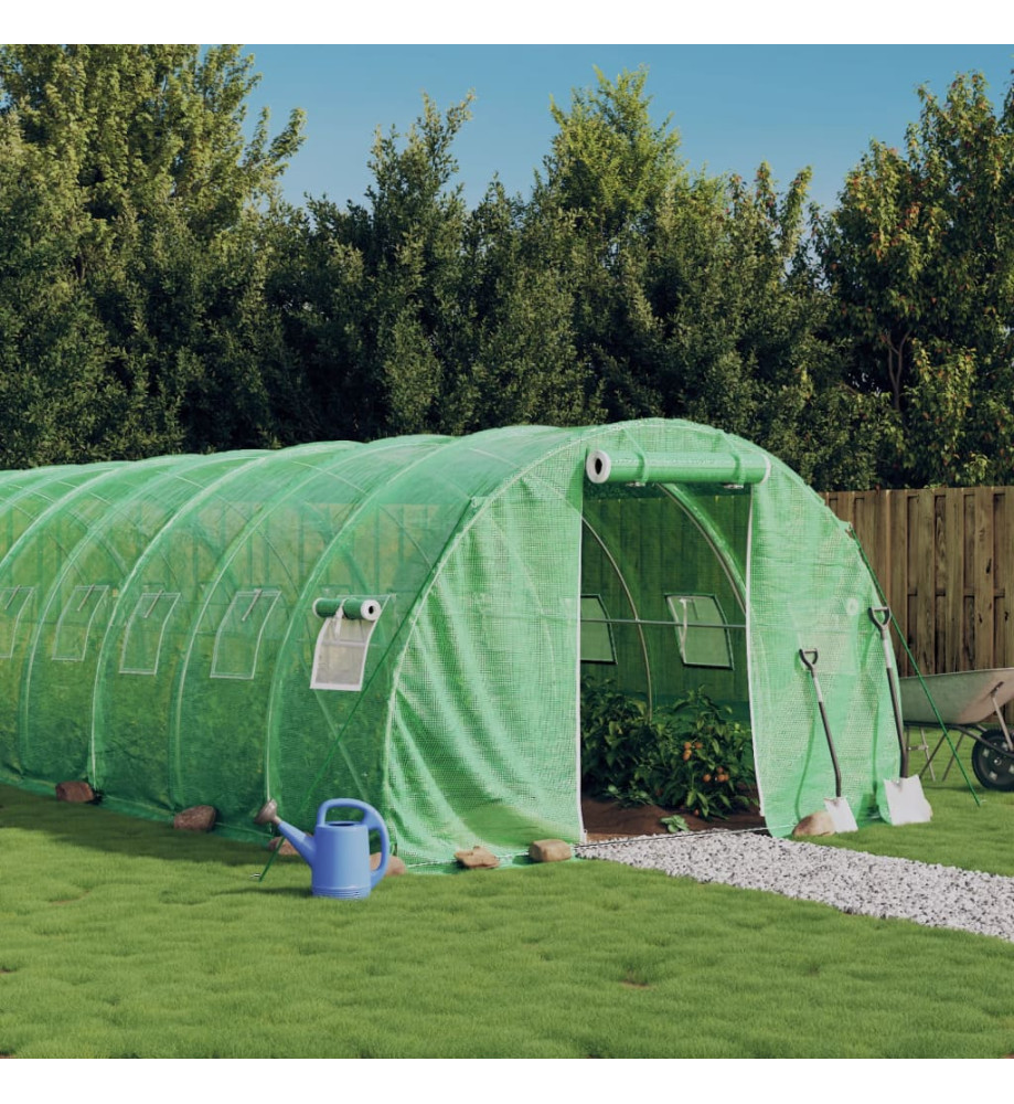 Serre avec cadre en acier vert 42 m² 14x3x2 m