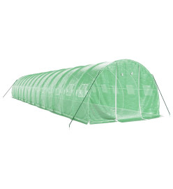 Serre avec cadre en acier vert 42 m² 14x3x2 m