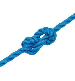 Corde de travail Bleu 12 mm 50 m Polypropylène