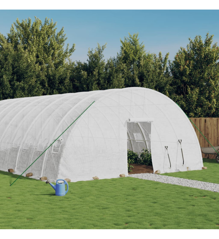 Serre avec cadre en acier blanc 72 m² 12x6x2,85 m