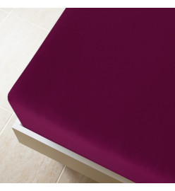 Draps-housses Jersey 2 pcs Bordeaux 100x200 cm Coton