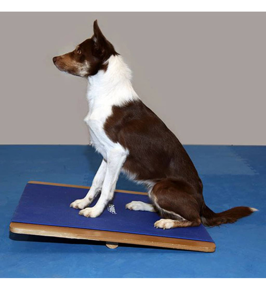 FitPAWS Planche à bascule grande 75x75 cm Bleu