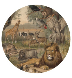 WallArt Papier peint cercle Animals of Africa 142,5 cm