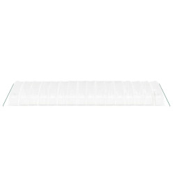 Serre avec cadre en acier blanc 96 m² 16x6x2,85 m