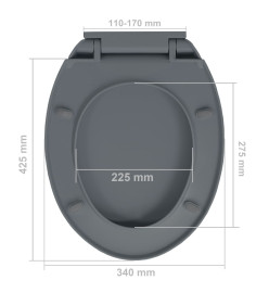 Siège de toilette à fermeture en douceur Gris Ovale