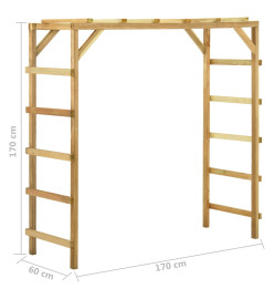 Support d'escalade d'extérieur 170x60x170 cm Bois de pin massif