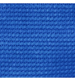 Tapis de tente 250x400 cm Bleu