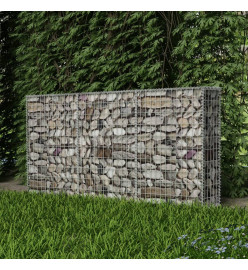 Panier de gabion Acier galvanisé 200x30x100 cm