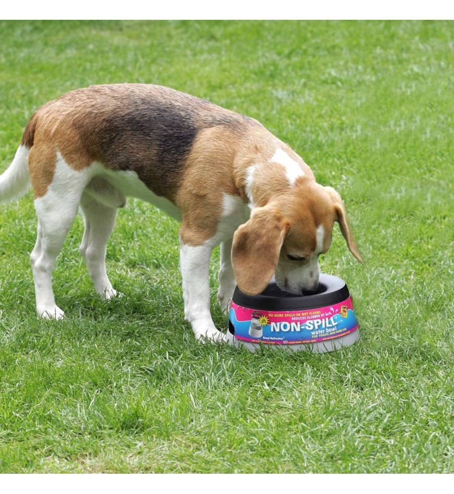 Road Refresher Bol à eau pour animaux de compagnie L Gris LGRR