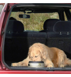 Road Refresher Bol à eau pour animaux de compagnie L Gris LGRR