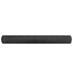 Filet brise-vue Noir 2x50 m PEHD 195 g/m²