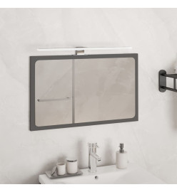 Lampe de miroir à LED 7,5 W Blanc froid 50 cm 6000 K