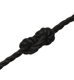 Corde de travail Noir 10 mm 250 m polypropylène