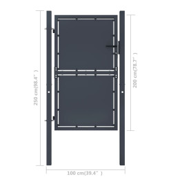 Portail de jardin Acier 100 x 200 cm Anthracite