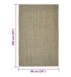 Tapis Sisal naturel 66x100 cm Taupe