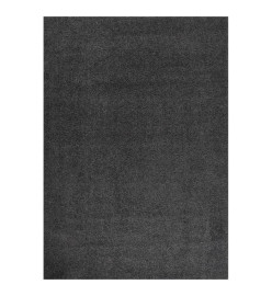 Tapis shaggy à poils longs Anthracite 120x170 cm