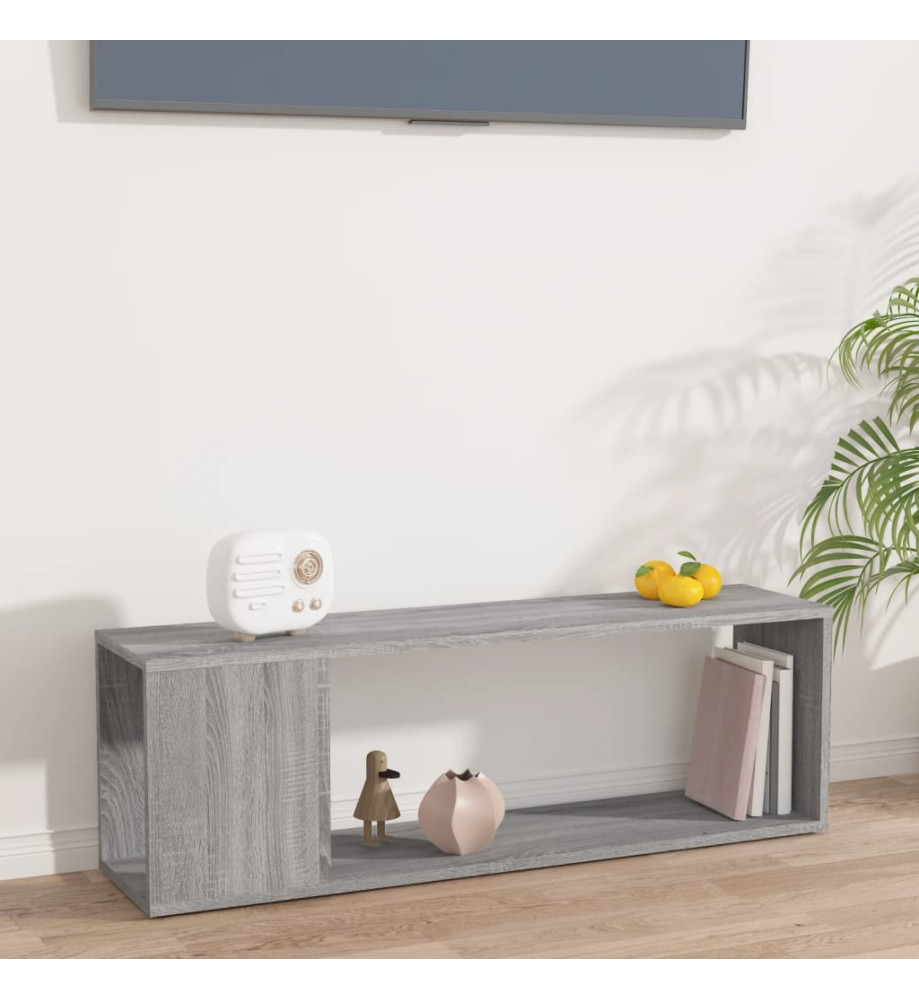 Meuble TV Sonoma gris 100x24x32 cm Bois d'ingénierie