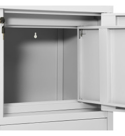 Armoire de bureau avec jardinière Gris clair 90x40x125 cm Acier