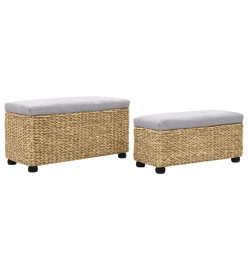 Ensemble de banc 2 pcs Jacinthe d'eau Gris