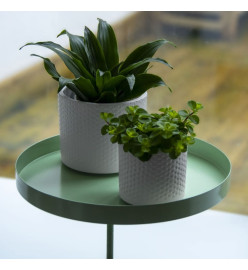 Esschert Design Plateau pour plantes avec pince rond vert L