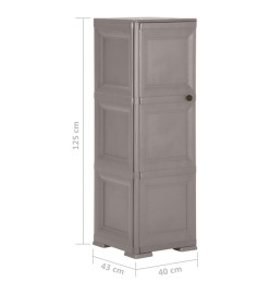 Armoire en plastique 40x43x125 cm Design de bois Gris