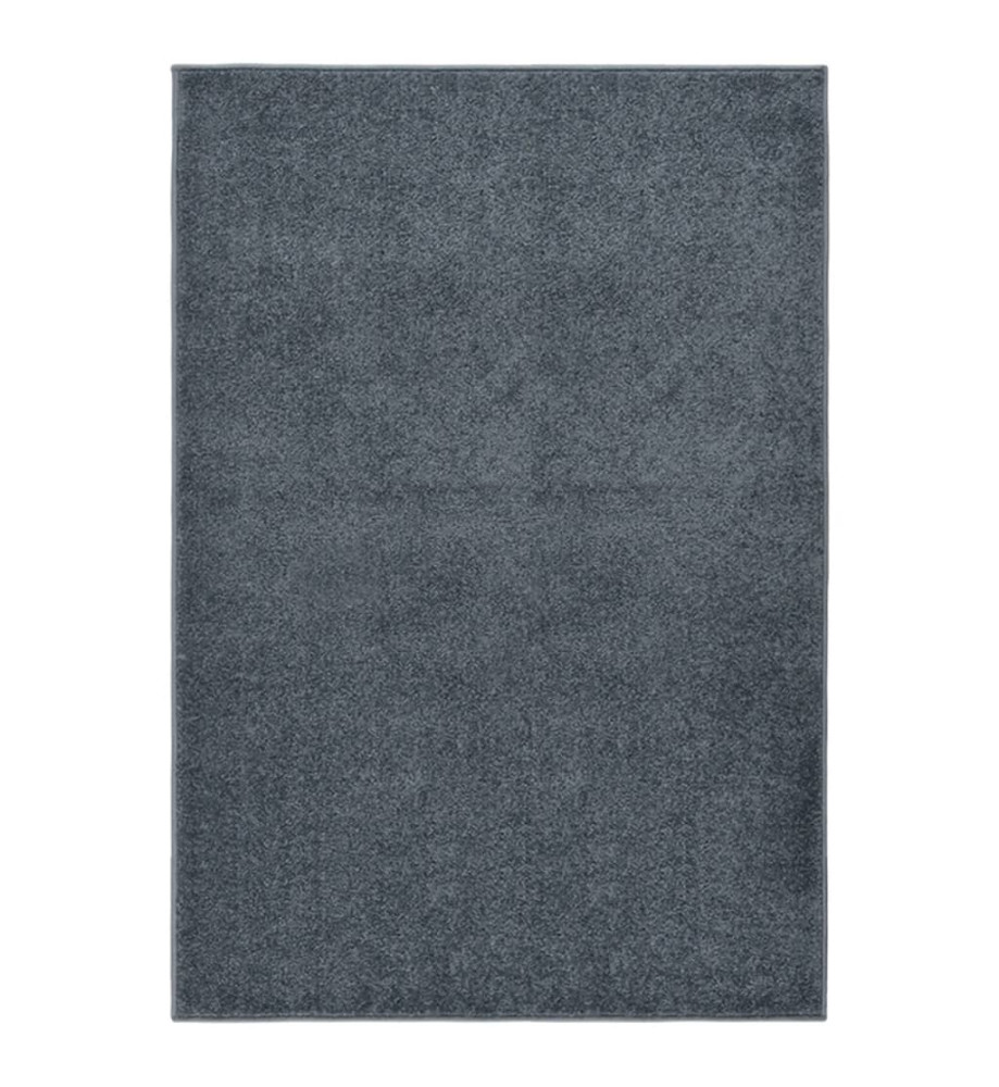 Tapis à poils courts 160x230 cm Anthracite Tapis à poils courts 160x230 cm Anthracite
