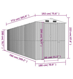 Abri de jardin Marron foncé 192x772x223 cm Acier galvanisé