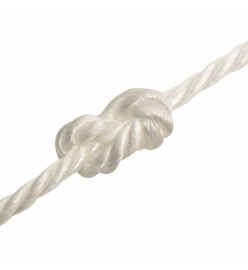 Corde de travail Blanc 10 mm 500 m polypropylène