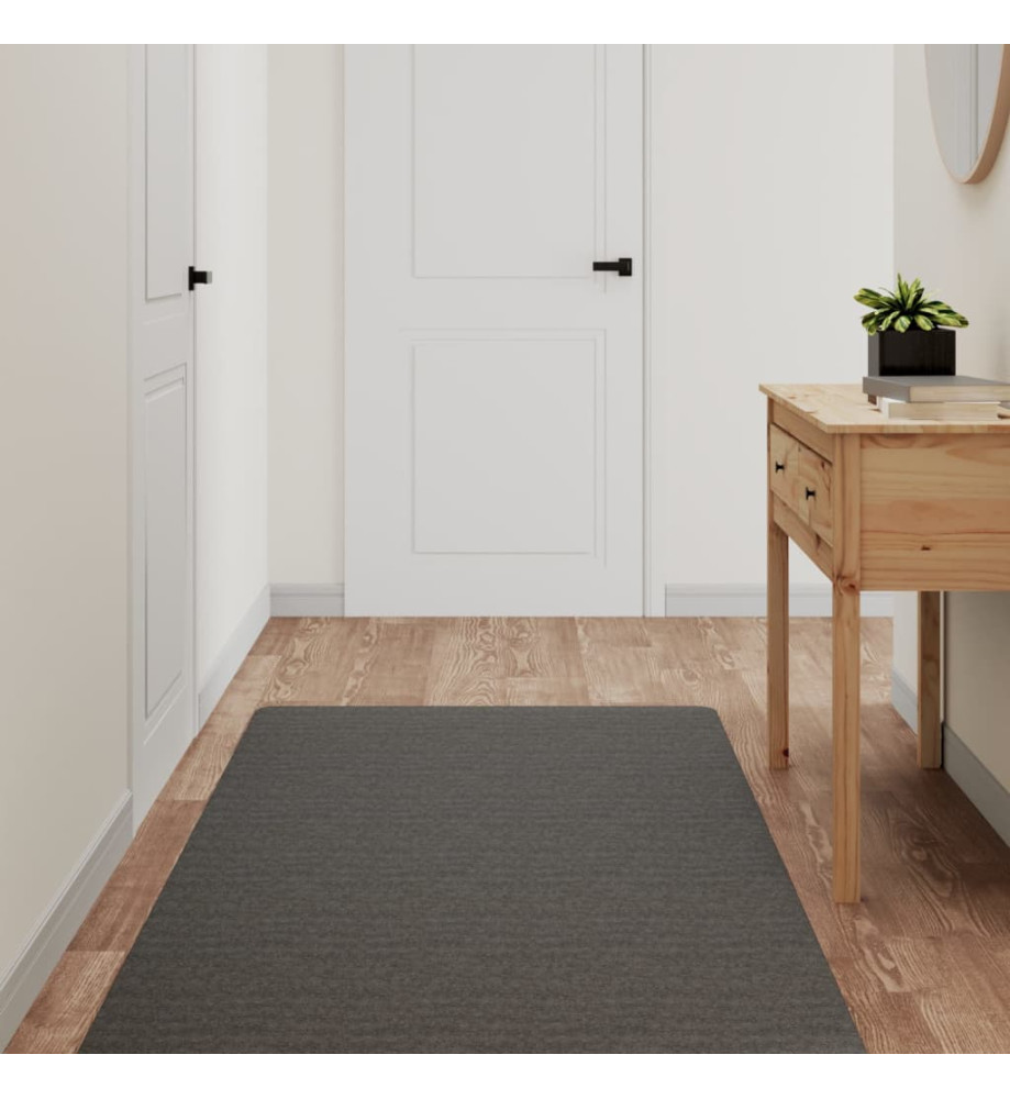 Tapis de couloir anthracite 80x180 cm Tapis de couloir anthracite 80x180 cm