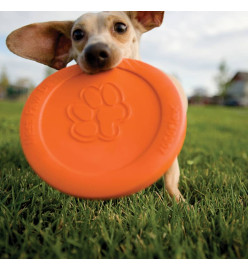 Zogoflex Frisbee pour chien Zisc Taille L Orange 1937