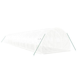 Serre avec cadre en acier blanc 54 m² 18x3x2 m