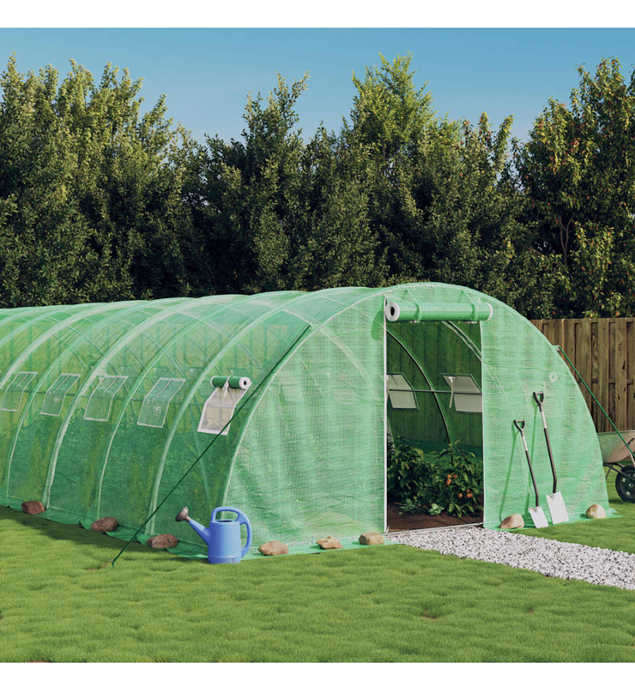 Serre avec cadre en acier vert 24 m² 6x4x2 m