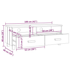 Meuble TV HAMAR Gris clair 106x40x40 cm Bois massif de pin