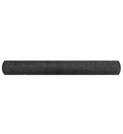 Filet brise-vue PEHD 1x50 m Noir 150 g/m²