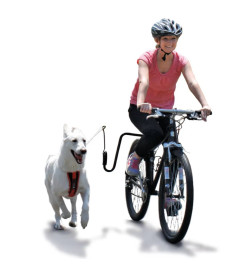 SPRINGER Kit d'exercice de vélo pour chiens