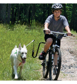 SPRINGER Kit d'exercice de vélo pour chiens