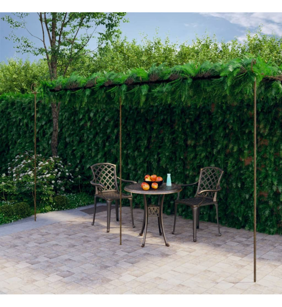 Pergola de jardin Marron antique 6x3x2,5 m Fer