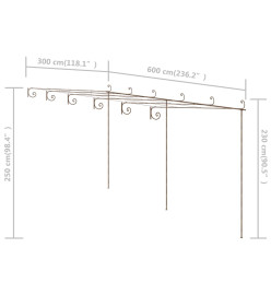 Pergola de jardin Marron antique 6x3x2,5 m Fer