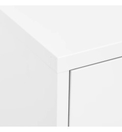 Armoire de rangement Blanc 80x35x101,5 cm Acier