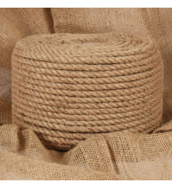 Corde de jute 50 m de long 12 mm d'épaisseur