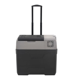 Glacière avec roue et adaptateur noir et gris 50L polypropylène