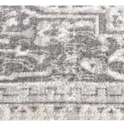 Tapis à tissage plat d'extérieur 80x150 cm Gris clair