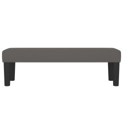 Banc Gris 100x30x30 cm Similicuir