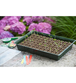 Nature Kit de mini propagateur 7x11 cellules