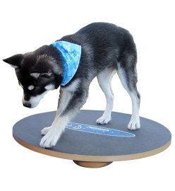 FitPAWS Plateau d'équilibre 50 cm Noir