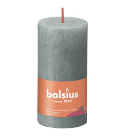 Bolsius Bougies pilier rustiques Shine 8 pcs 100x50 mm Vert eucalyptus