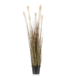 Emerald Herbe de pampa artificielle 120 cm en pot en plastique